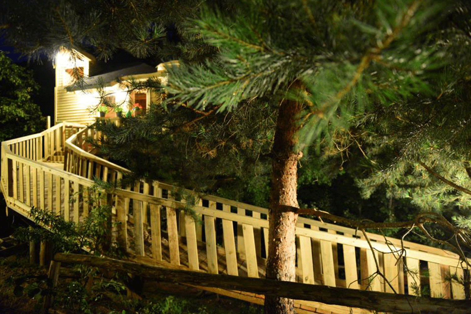 Yeşilin Gece ile Uyumu